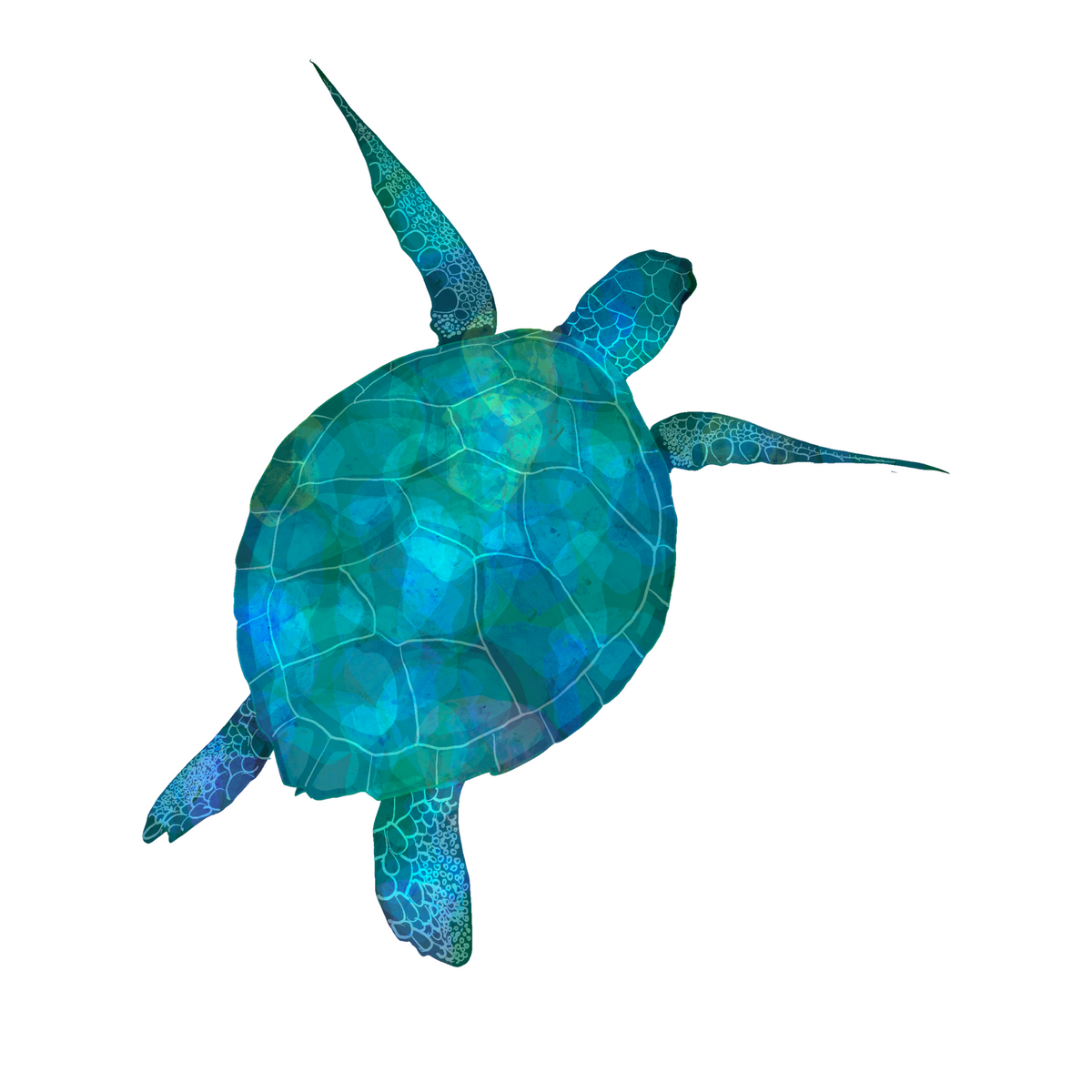 Sea Turtle Pack — Instant Download