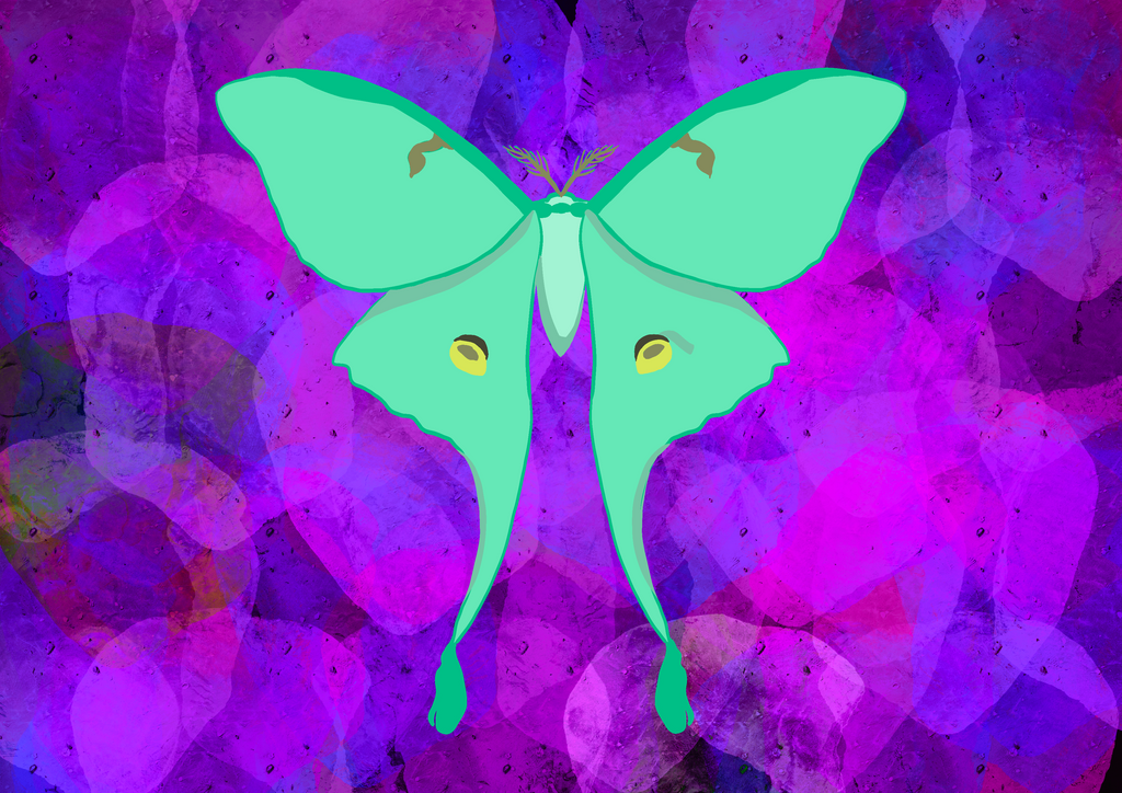 Lunar Moth Pack — Instant Download