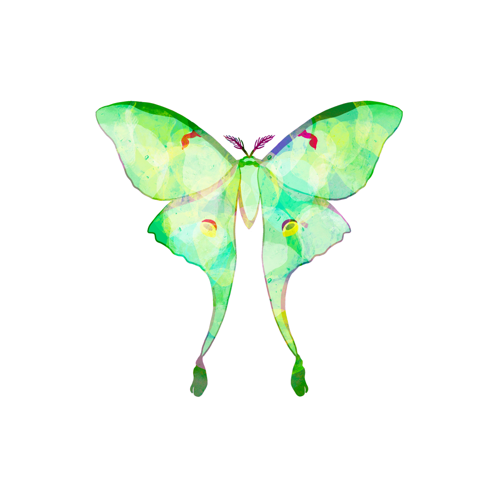 Lunar Moth Pack — Instant Download