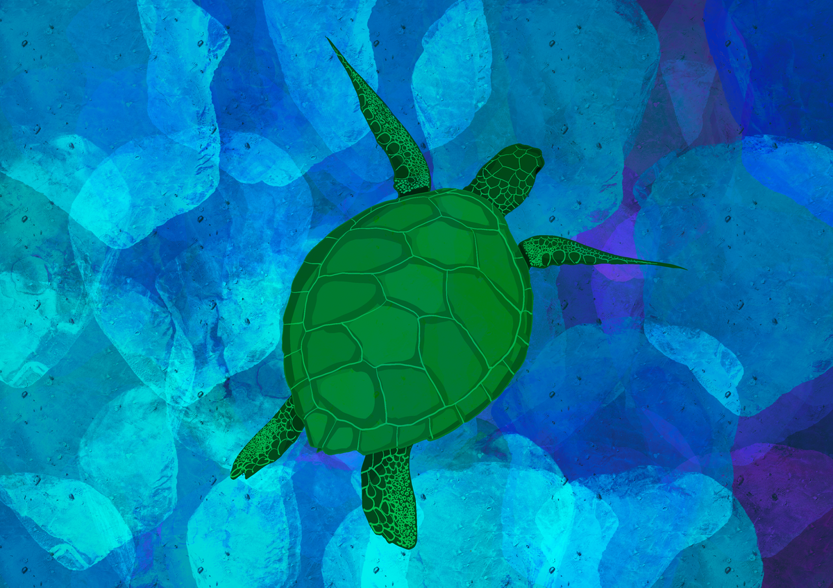 Sea Turtle Pack — Instant Download