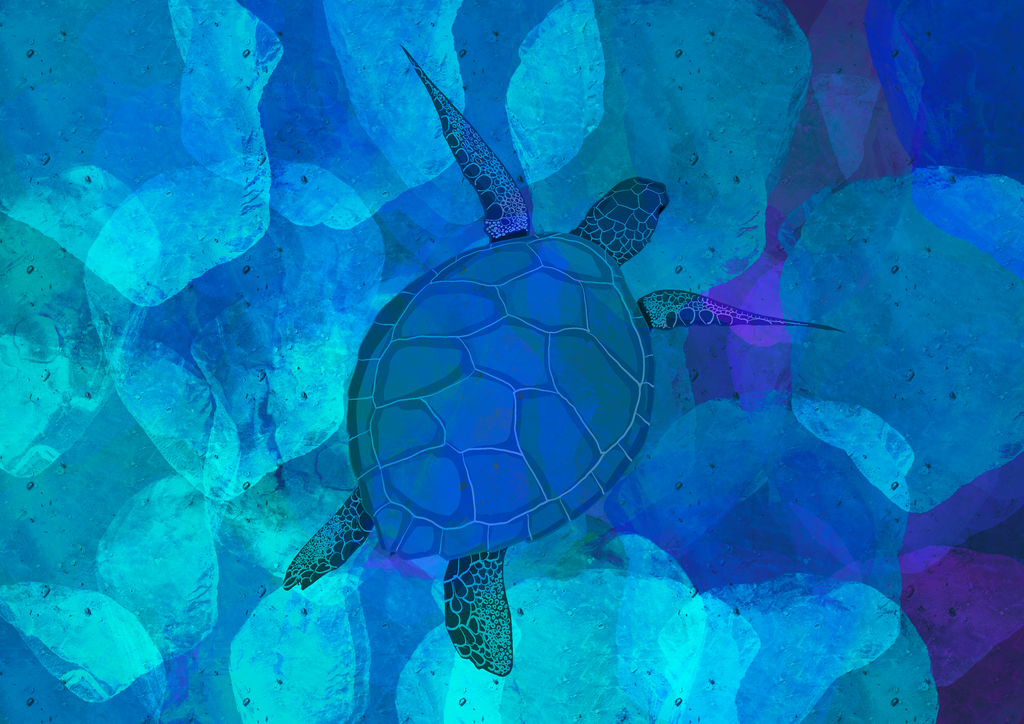 Sea Turtle Pack — Instant Download