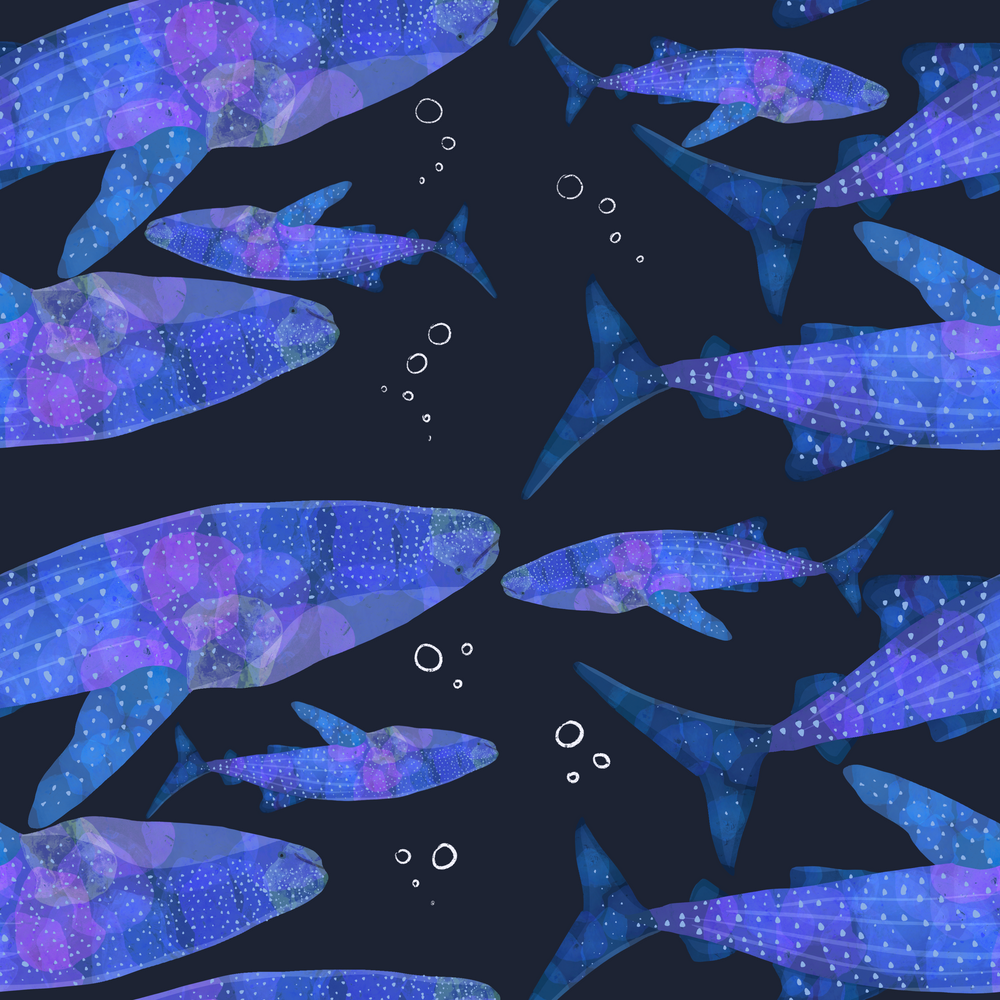 Whale Sharkies 🐋